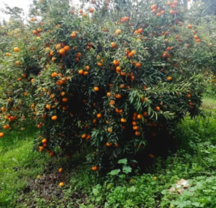 Dar Khedija Konuk evi El Kheriba Dış mekan fotoğraf