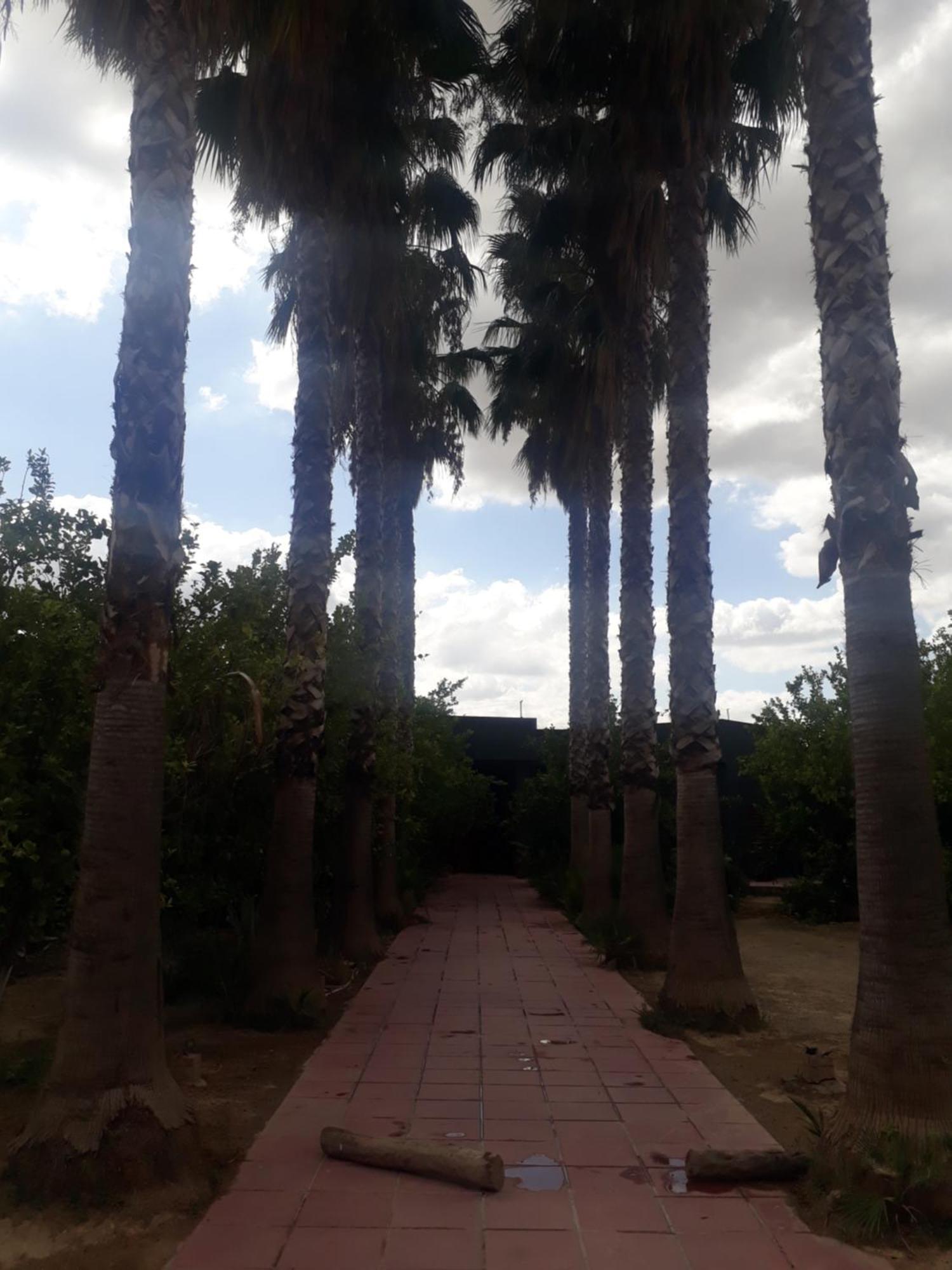 Dar Khedija Konuk evi El Kheriba Dış mekan fotoğraf